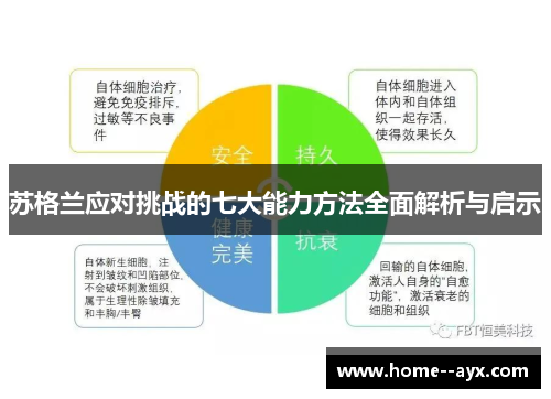苏格兰应对挑战的七大能力方法全面解析与启示