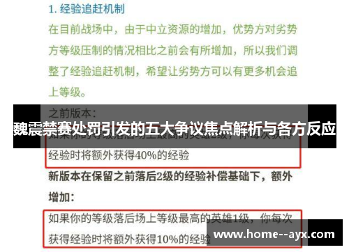 魏震禁赛处罚引发的五大争议焦点解析与各方反应