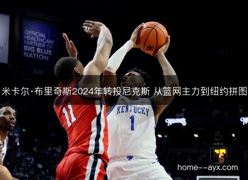 米卡尔·布里奇斯2024年转投尼克斯 从篮网主力到纽约拼图