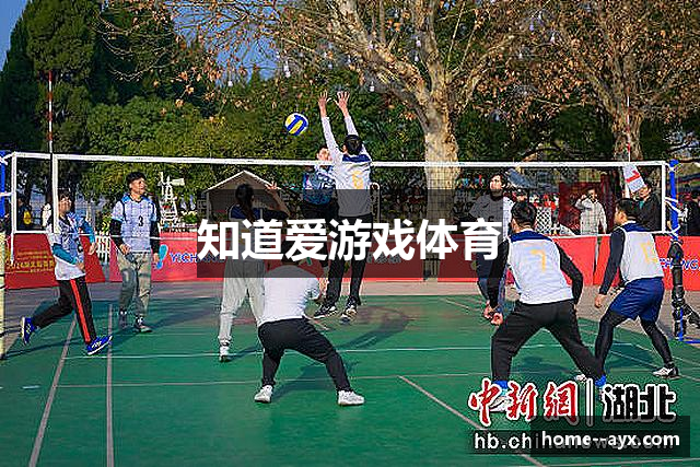 知道爱游戏体育